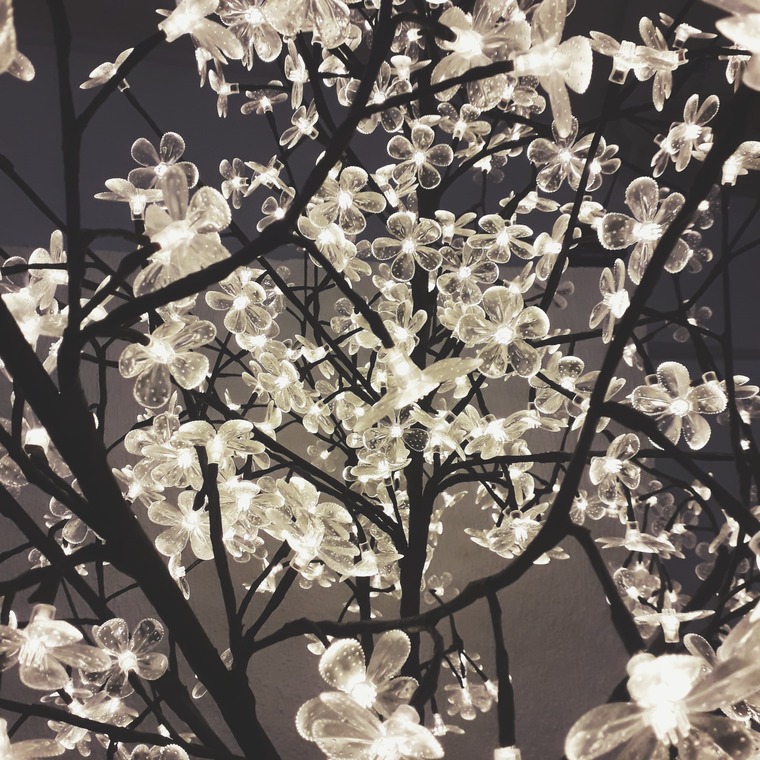 kitsune cover image