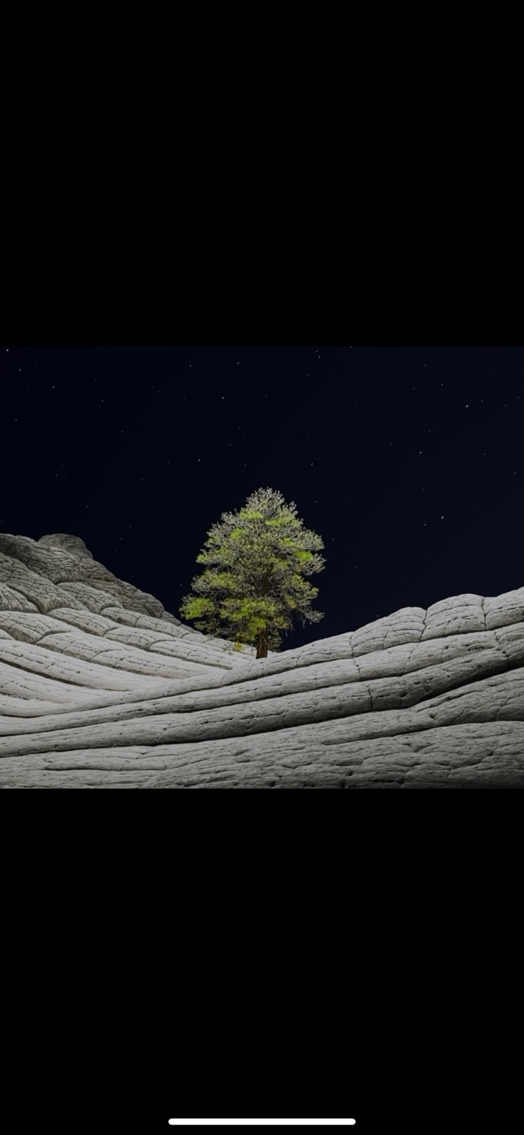 Cypress cover image