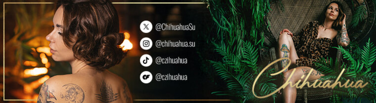 Pola banner image