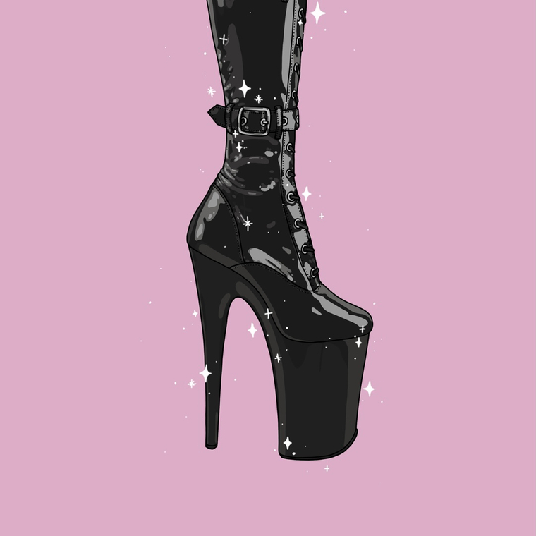 Miss Darcy ✨ cover image