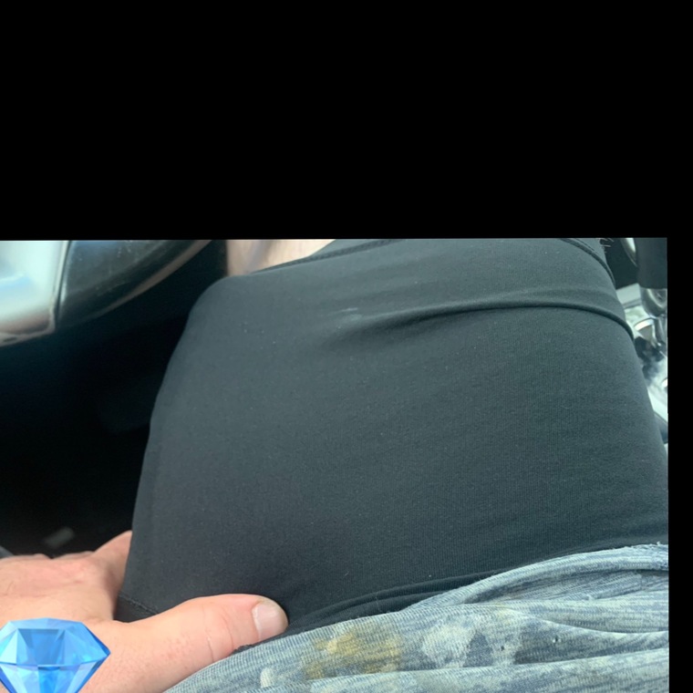 Italian_stallion-_ banner image