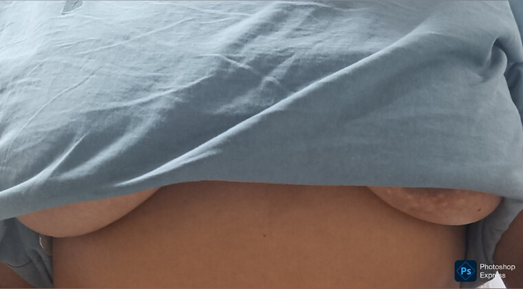 Dayan cover image