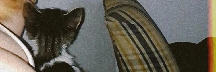 Ariana cover image