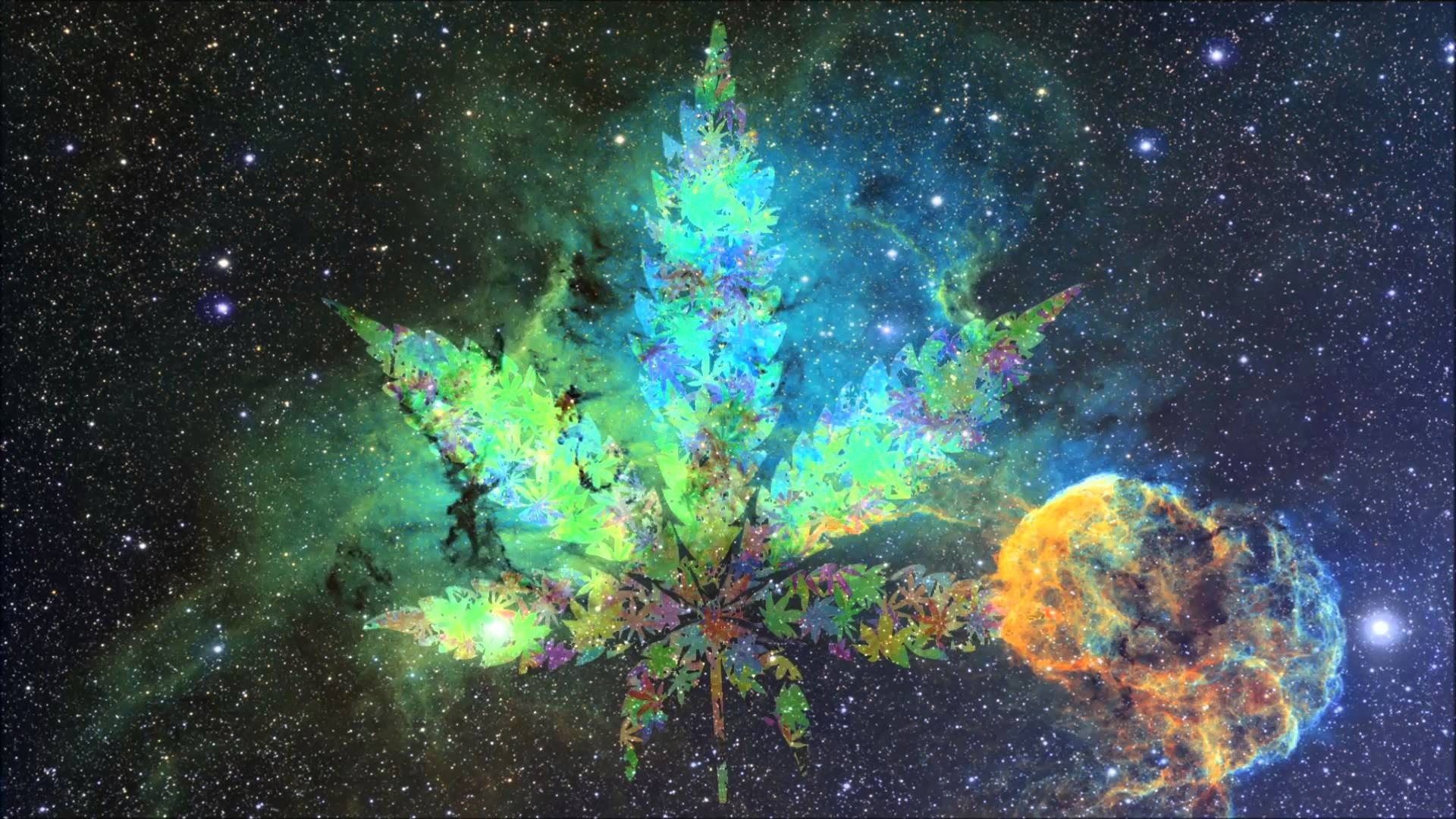 Onlyfanzpussyeate420 banner image
