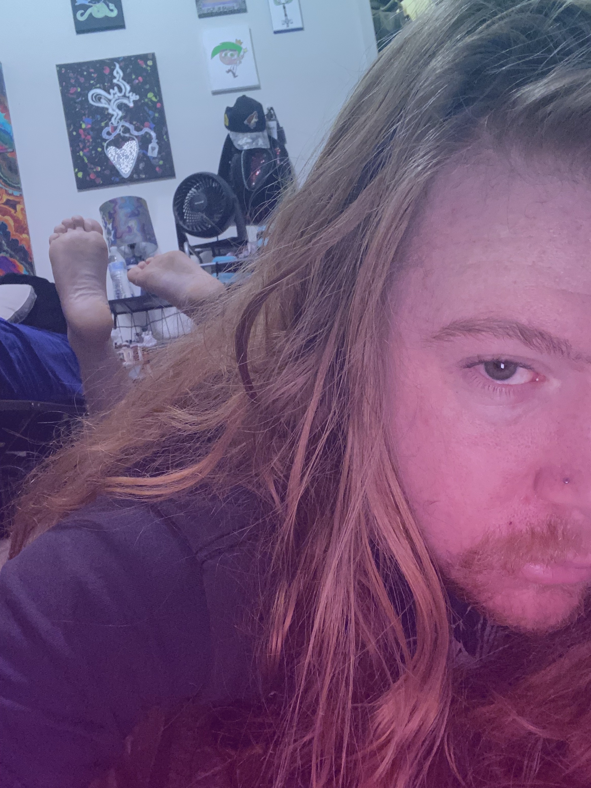 Ginger banner image