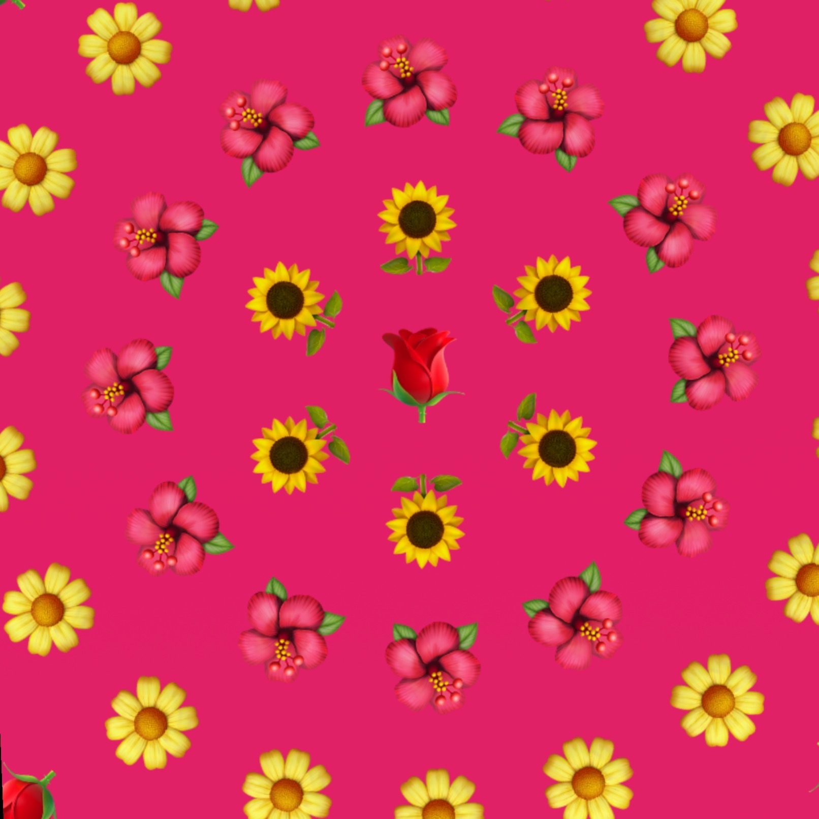 Nicole banner image