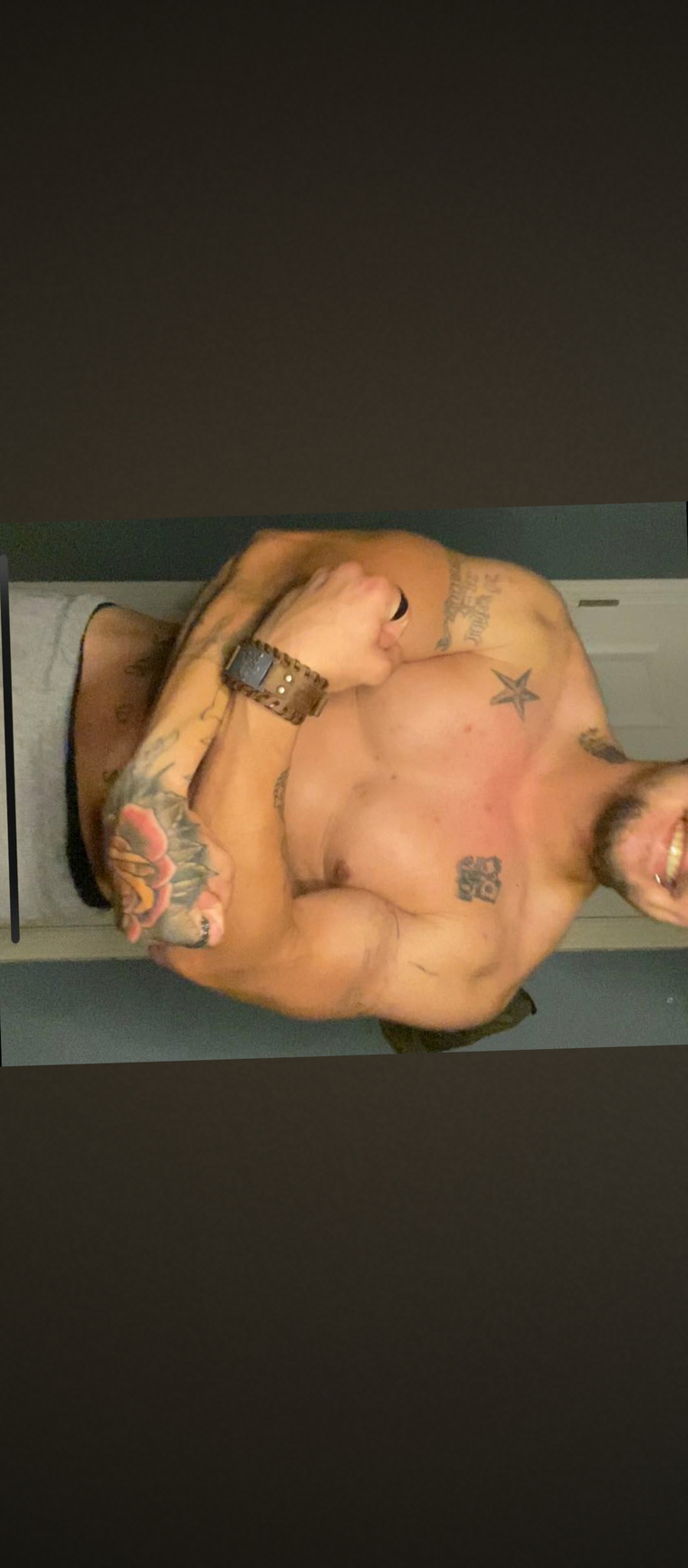 Big_Bad_Bear banner image