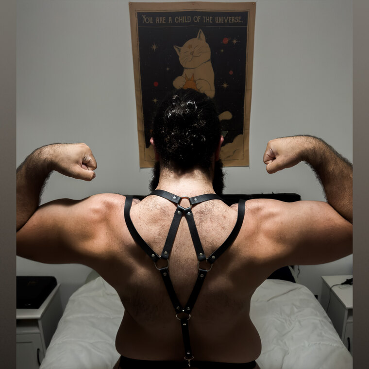 Daddy bear banner image
