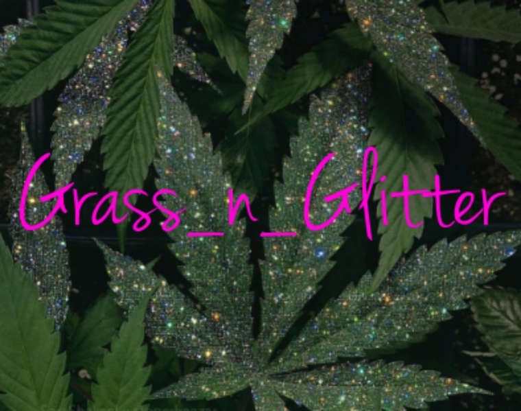 Grass&Glitter cover image