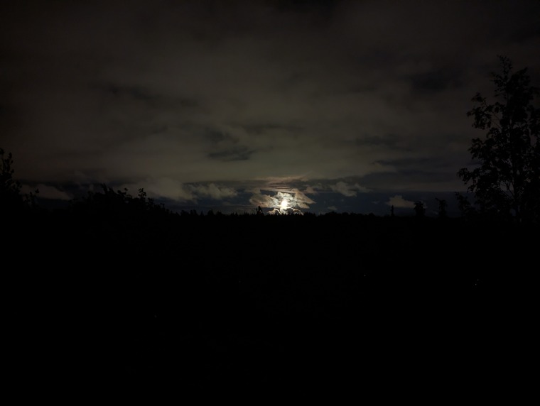 Finndick cover image