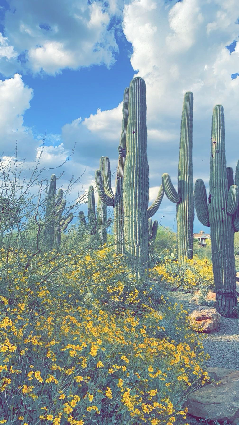 Kendrick banner image