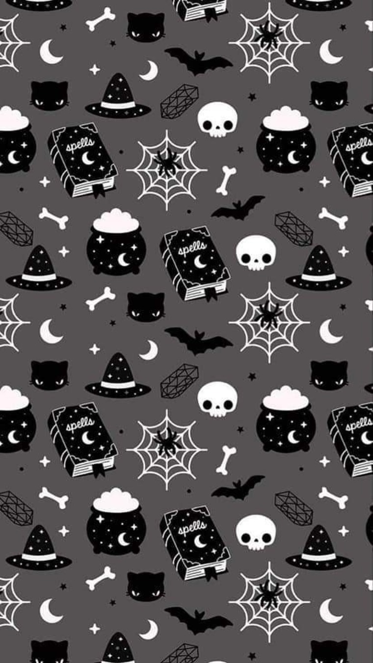 Kitten banner image