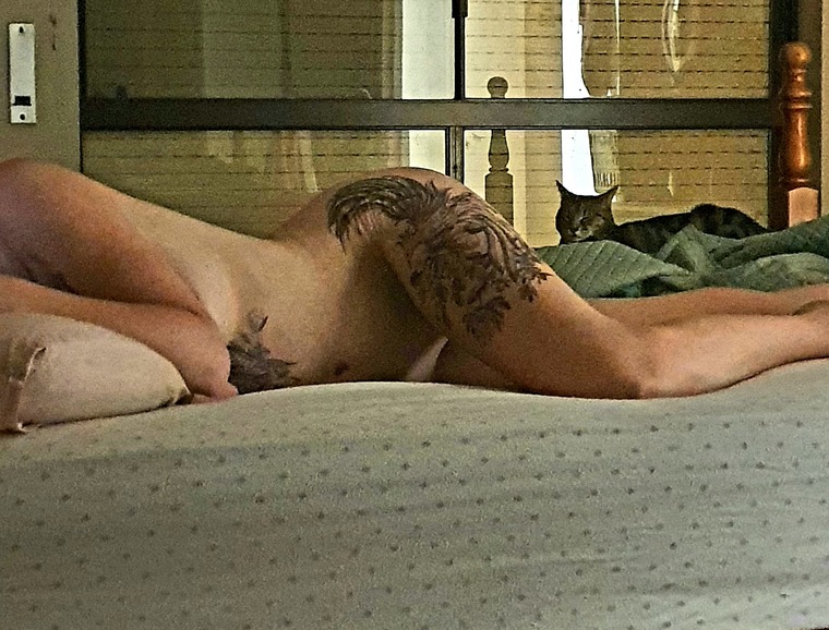 Daddys Little Brat cover image