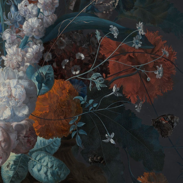 Sashenka cover image