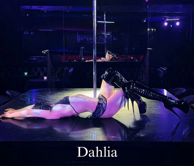 Dahlia cover image