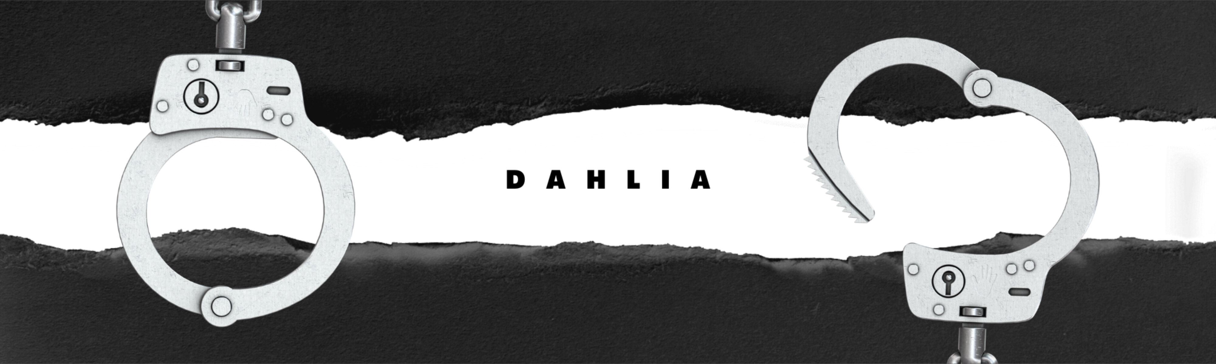 Dahlia banner image