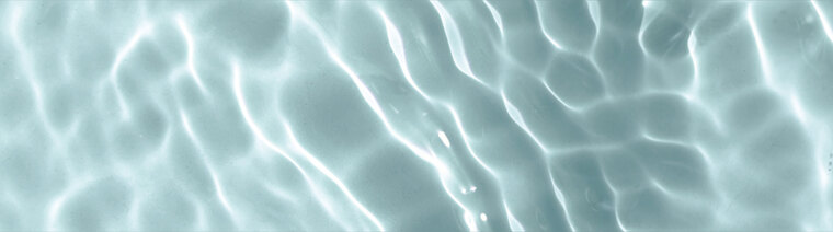 Maia Dainty (free) banner image