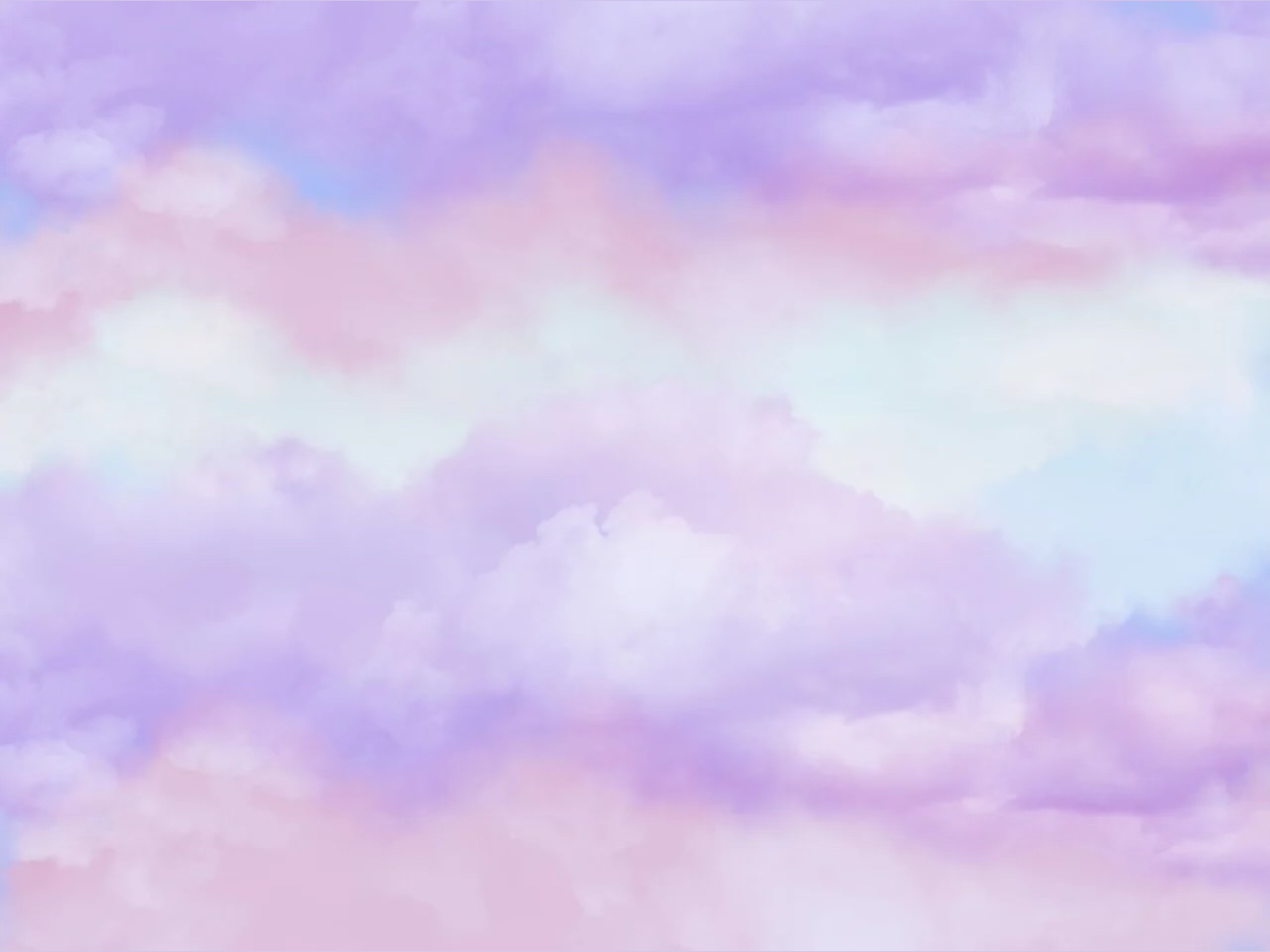 daisie banner image