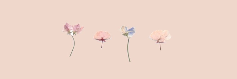 Daisy_smiles cover image