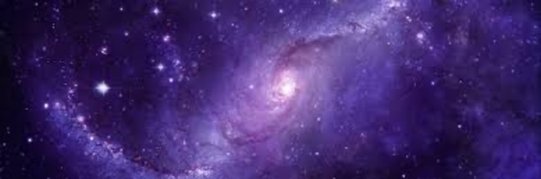 Daisy Thrasher banner image