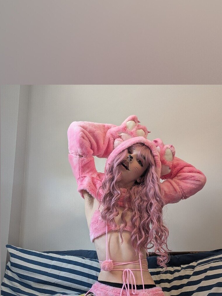 Daisy Chaynes cover image