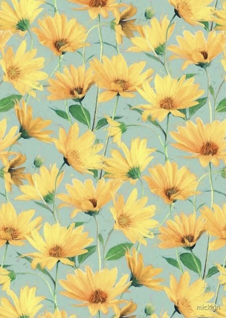 🌼 Daisy 🌼 cover image