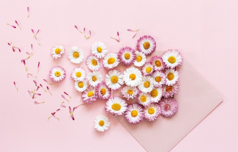 Daisy Grace cover image