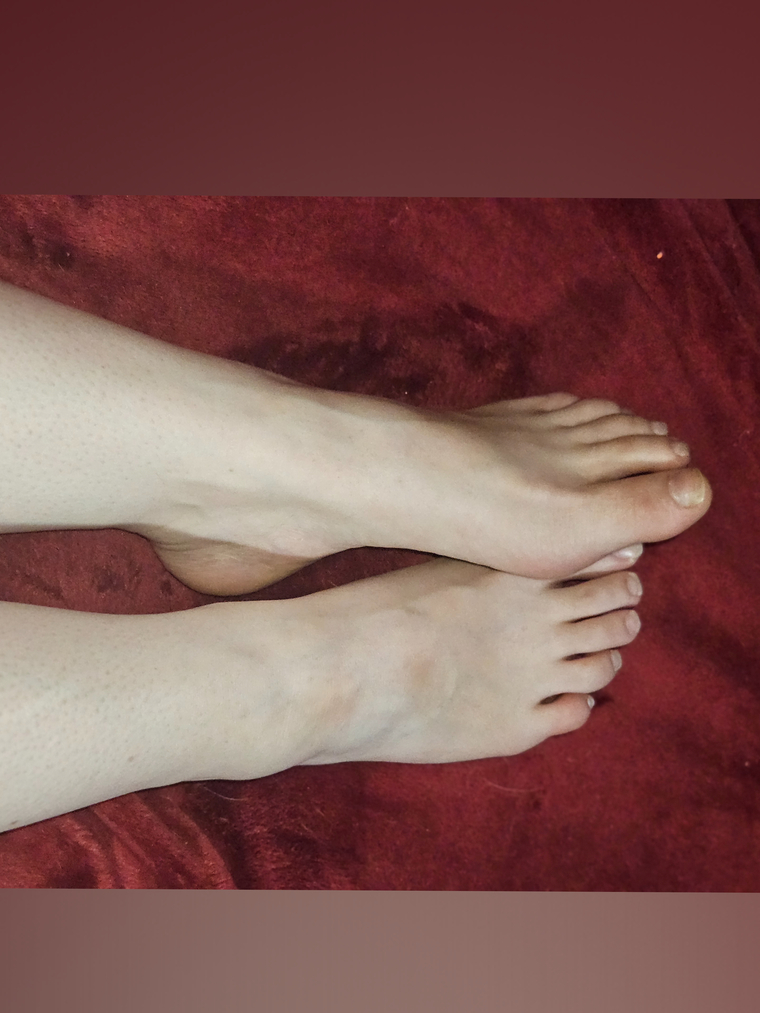 Daisy's Arch: Foot Fantasy Galore cover image