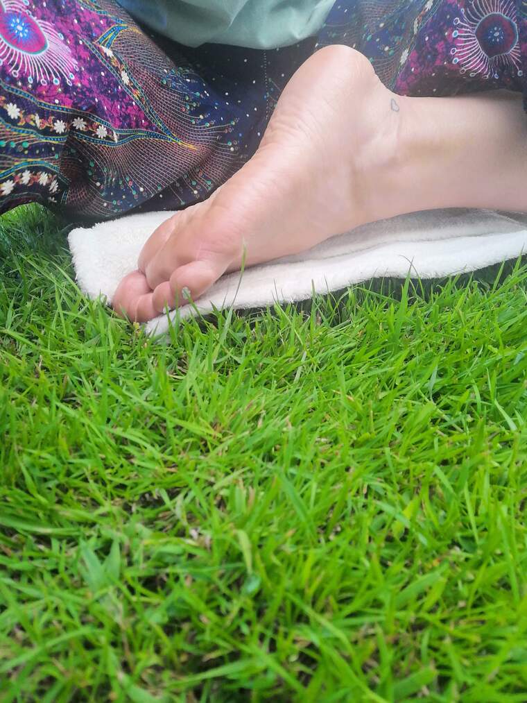Daisys dainty soles cover image
