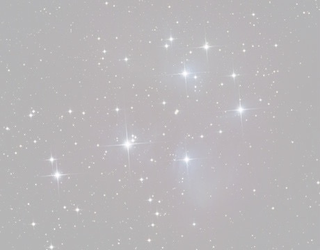 Daisy Lace (free) banner image