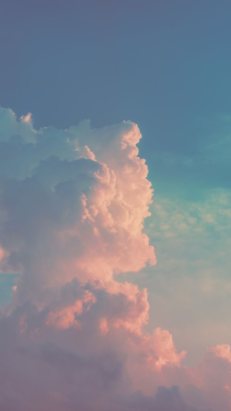 daisy baby banner image