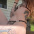 Daisy Diane avatar