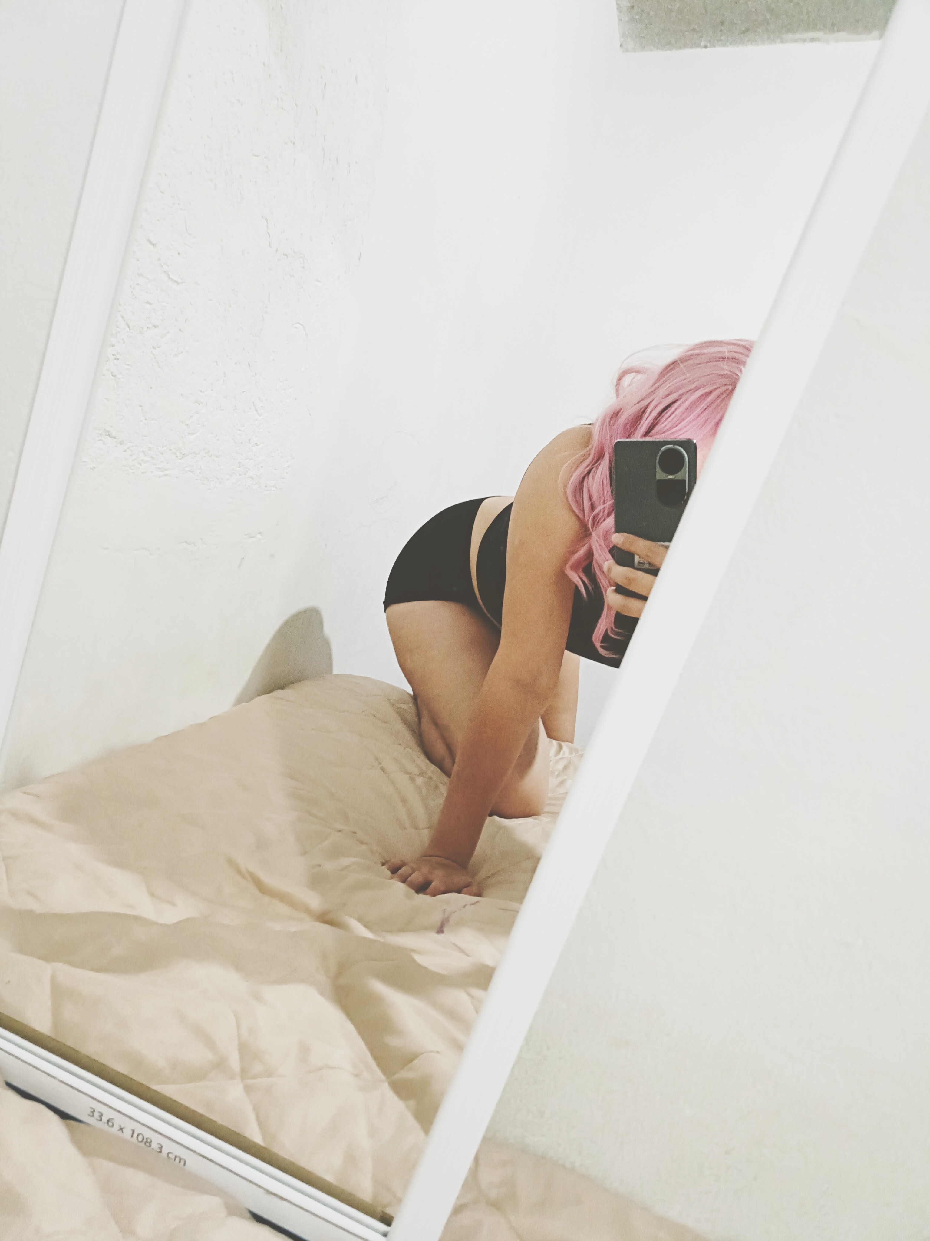 DakotaVans banner image
