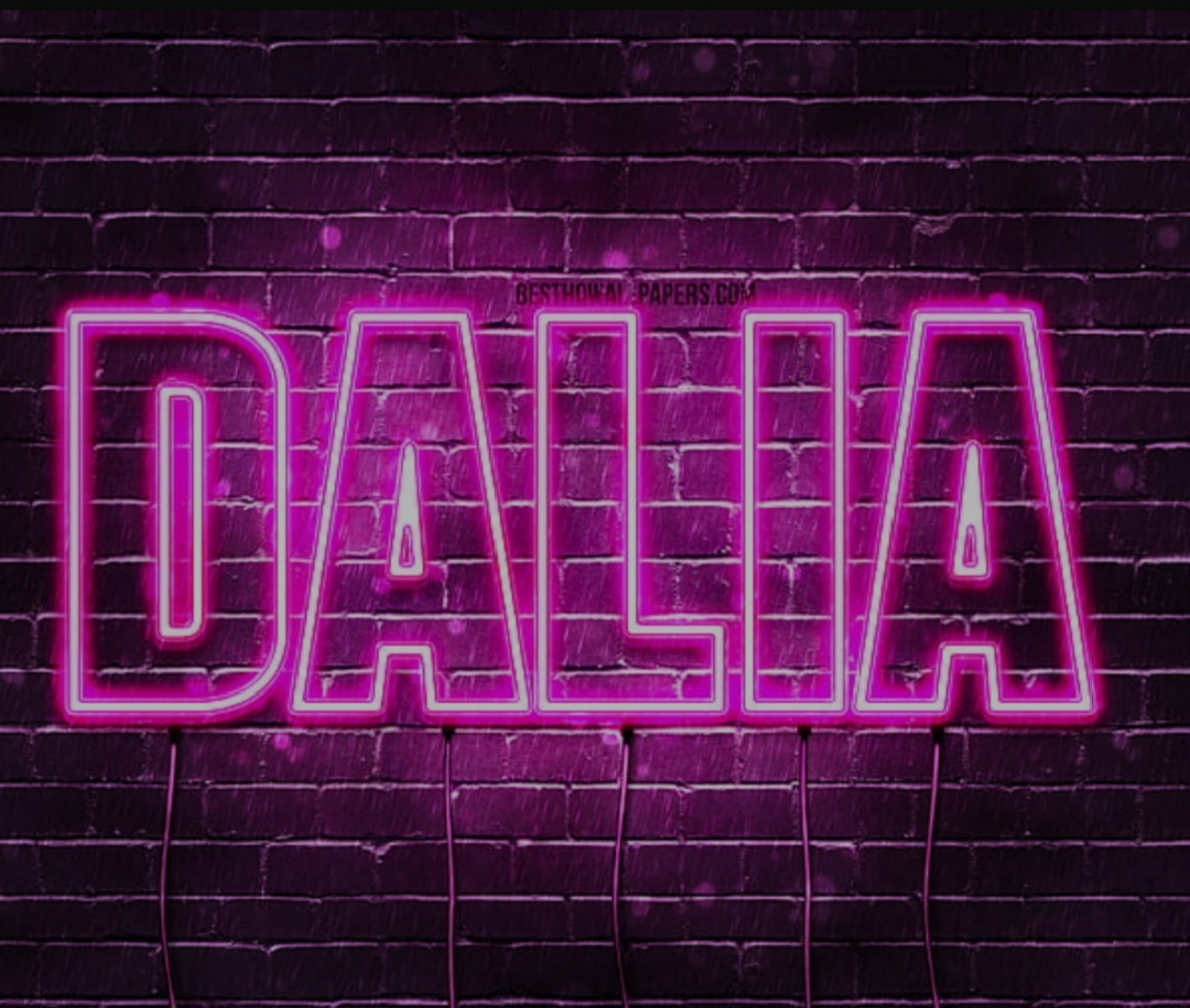 Dalia banner image