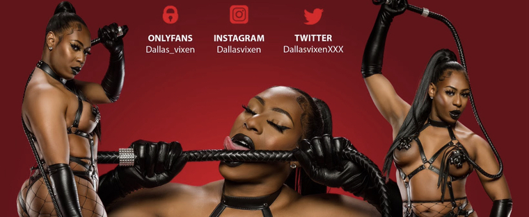 Dallas Vixen XXX banner image