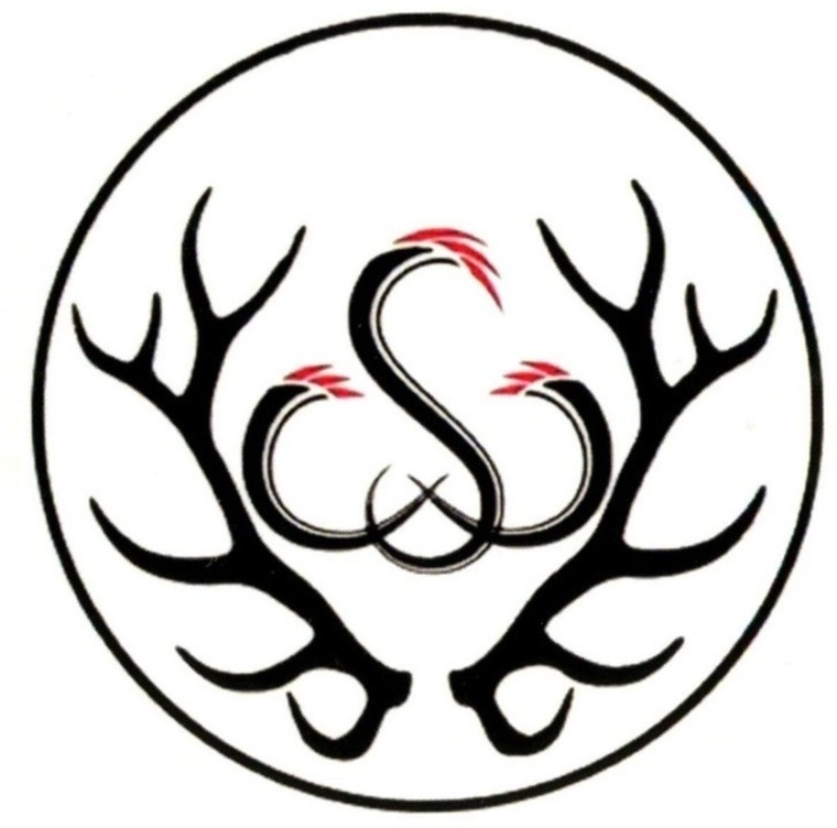 DallasGeoStag banner image