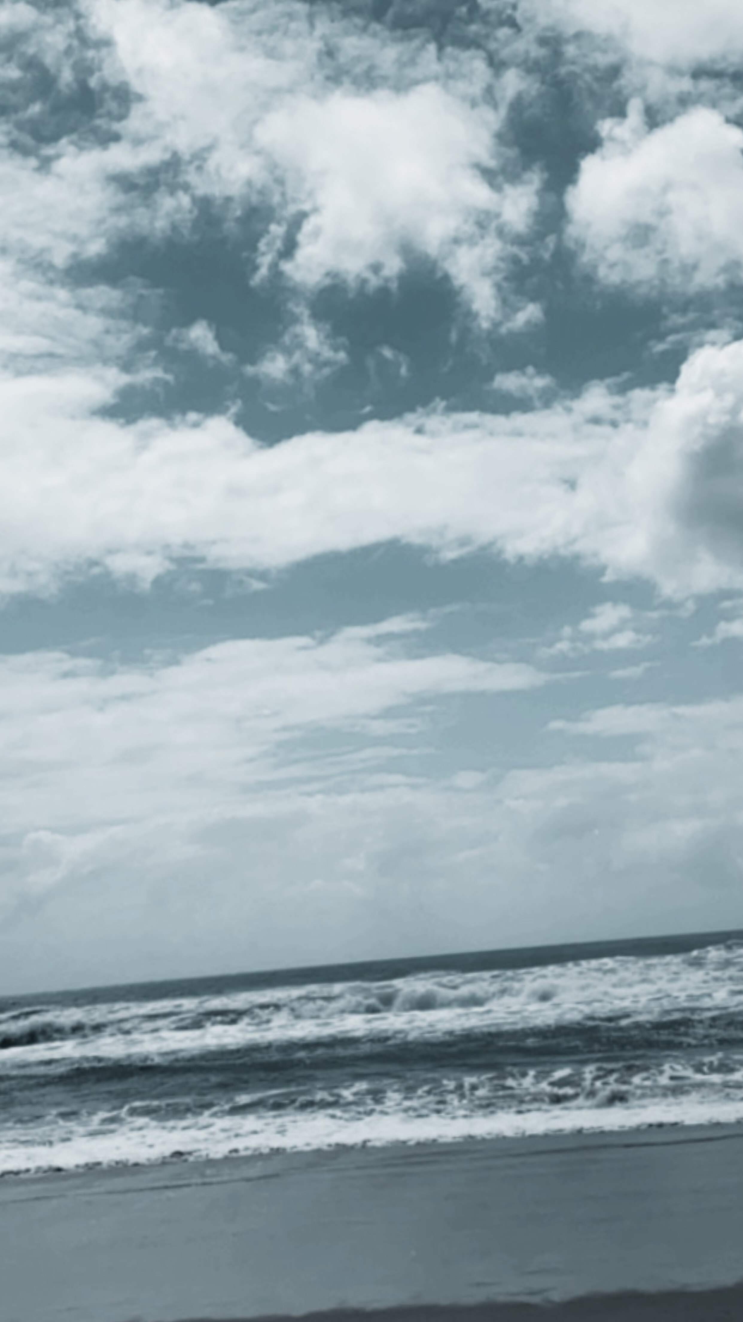 Dalton banner image