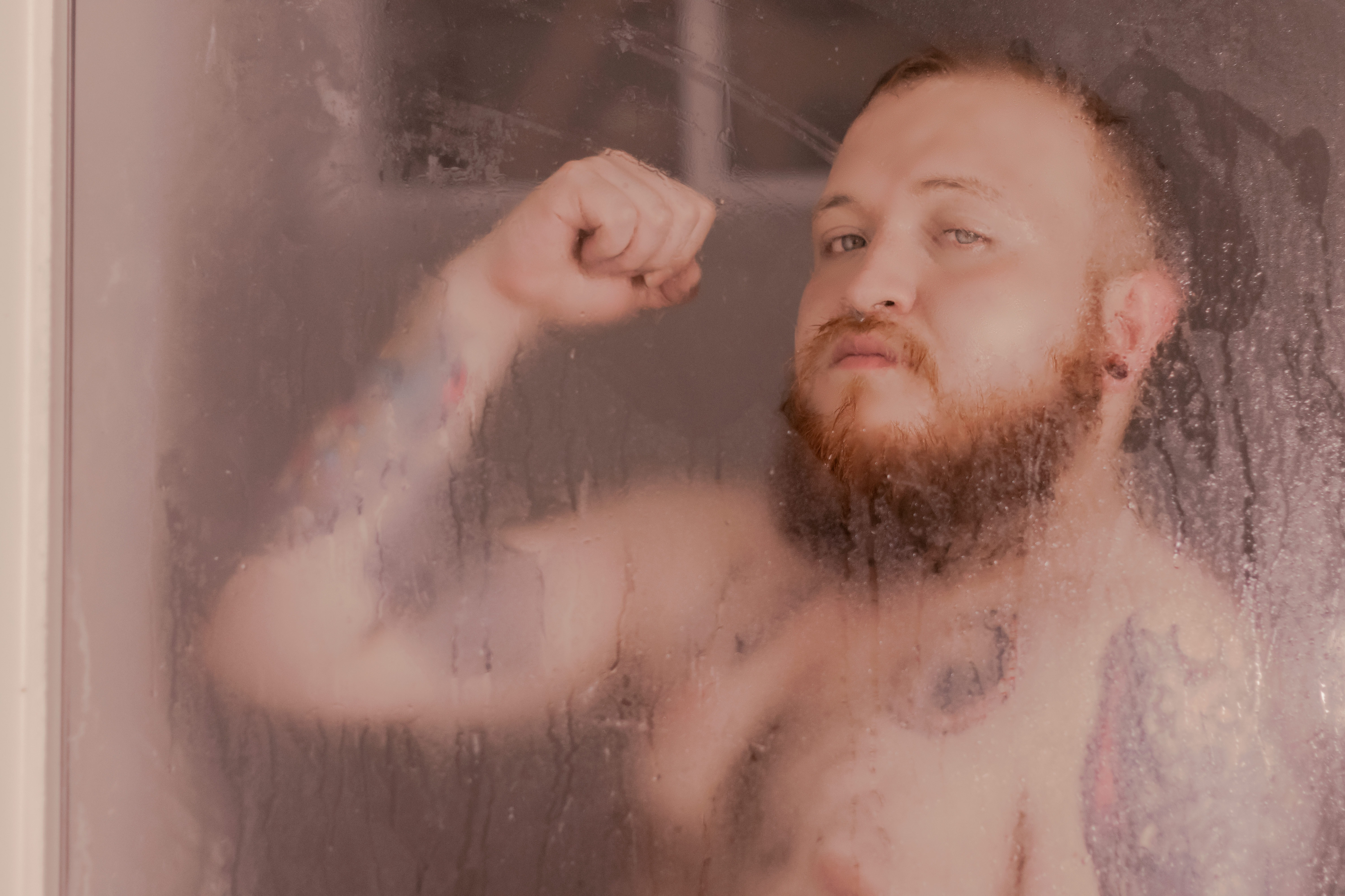 Dalton collins banner image
