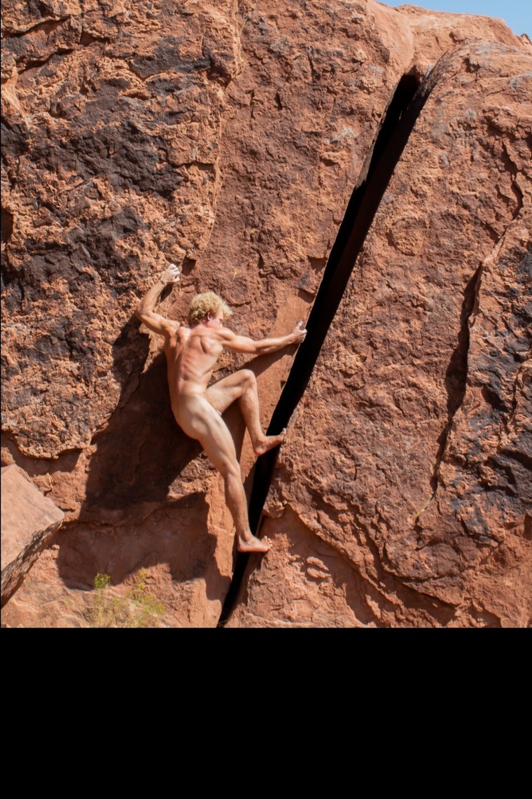 Dalton Freeman banner image