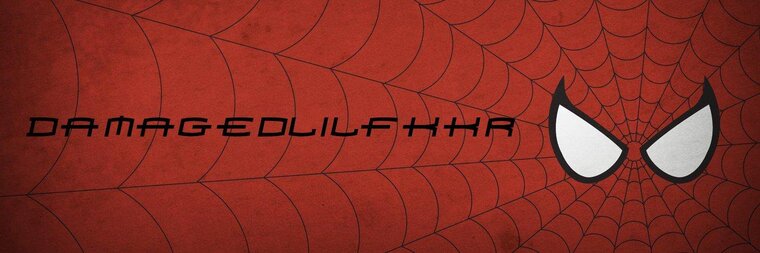 damagedlilfkkr cover image