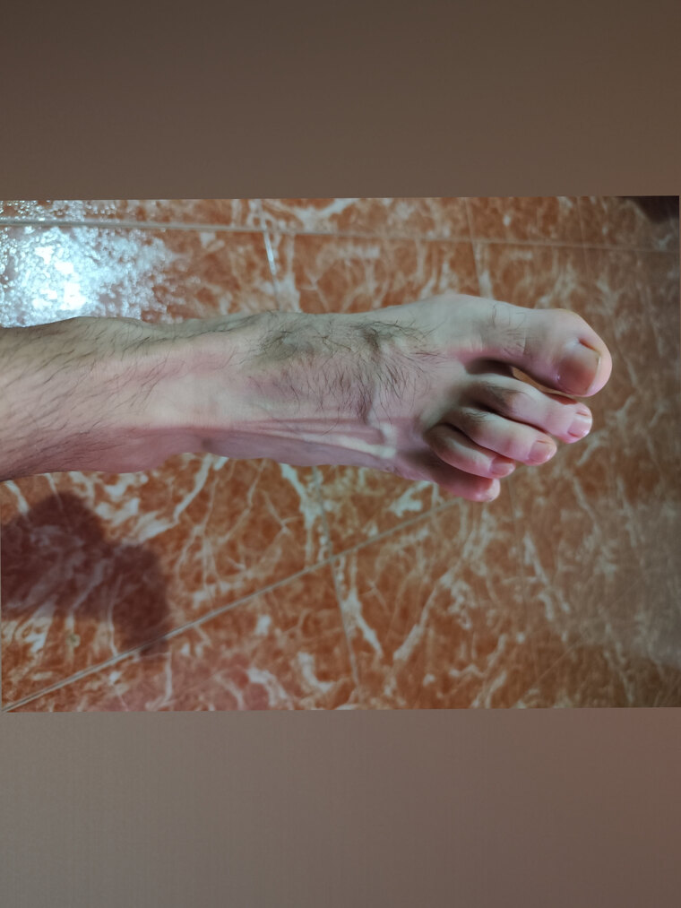 Damepies cover image