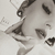 dammiediamond avatar