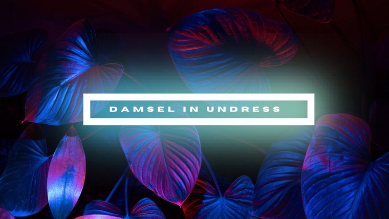 Damsel_InUndressFREE banner image
