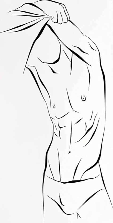 DanFox cover image