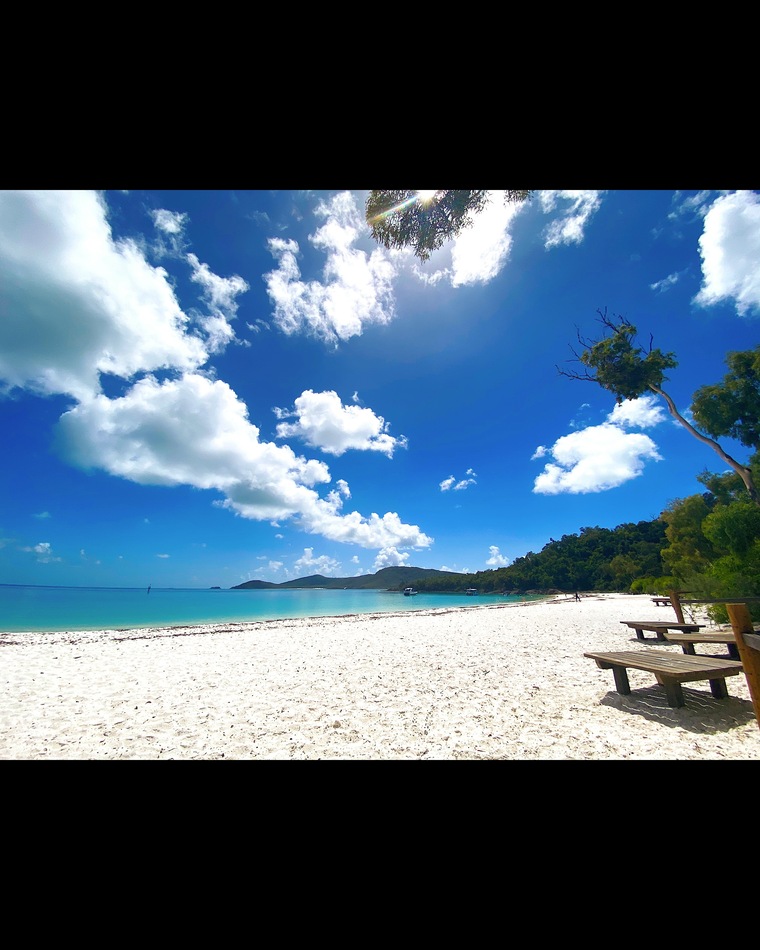 Dan Dan cover image