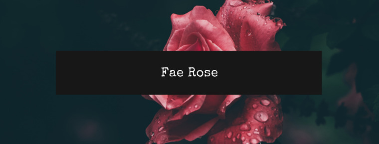 Fae Rose banner image