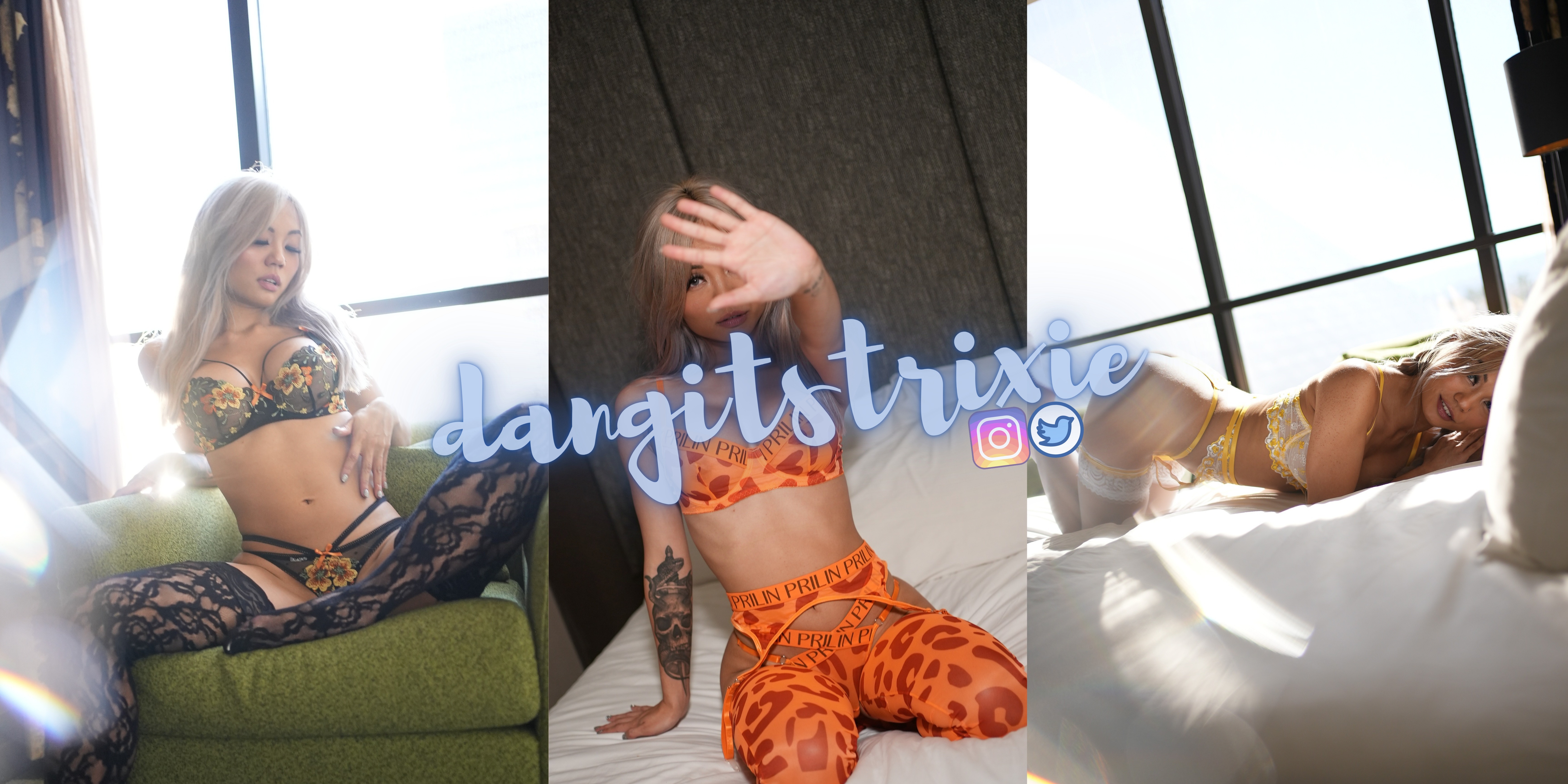 trixie dang π banner image