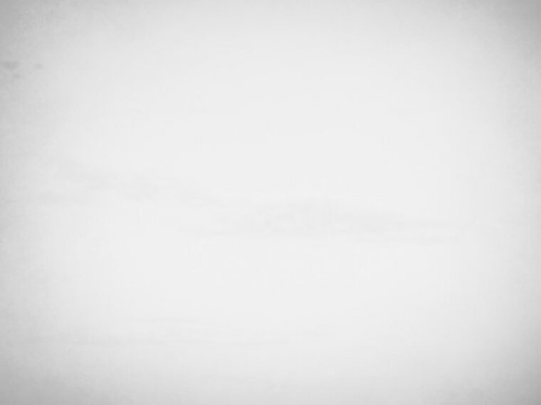 Dani cover image