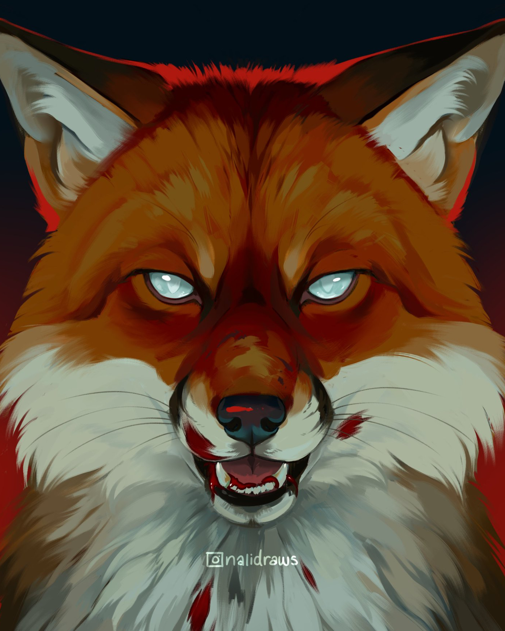 Daniel Fox banner image