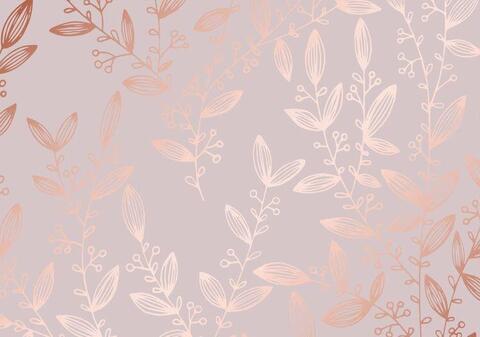 daniela ch cover image